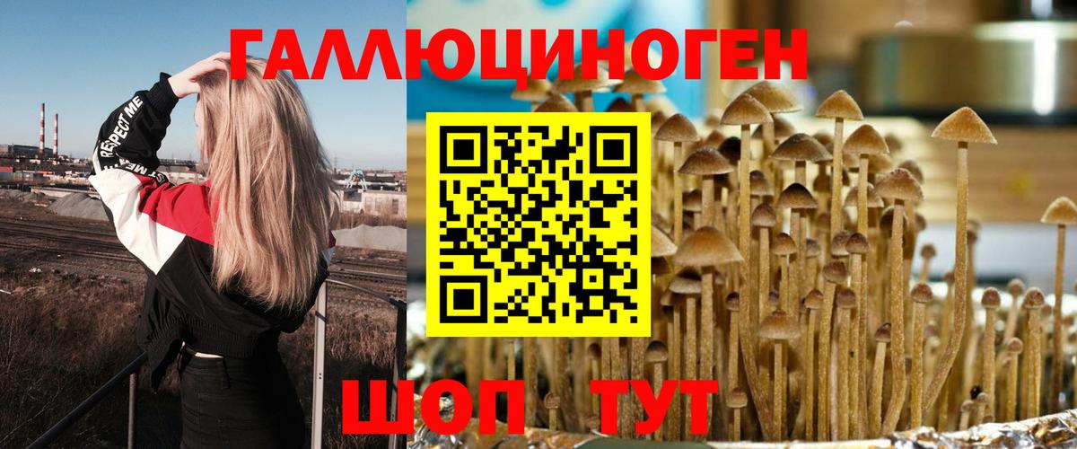 Дубна  Галлюциногенные грибы MAGIC MUSHROOMS  Галлюциногенные грибы Magic Shrooms  Вход с VPN 