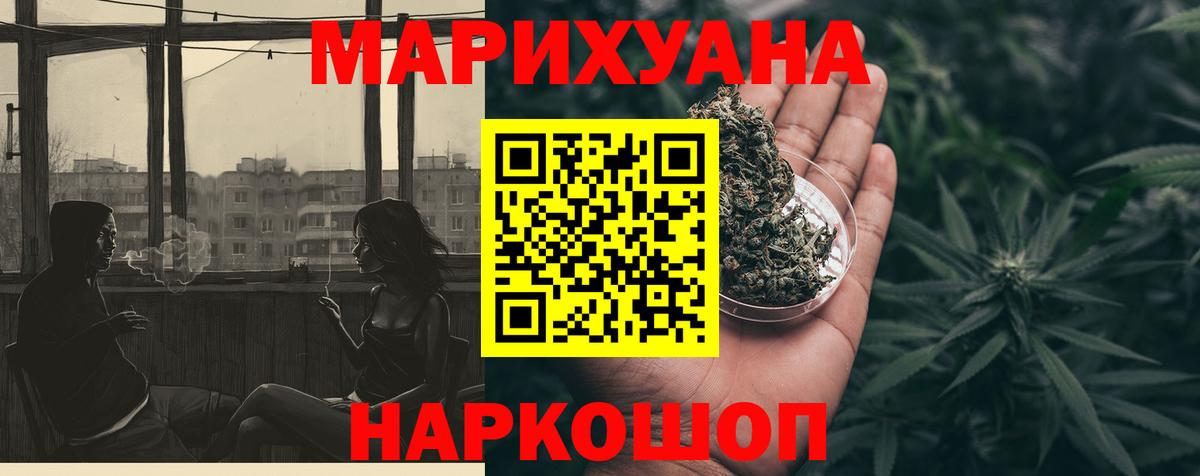 Конопля сатива Дубна